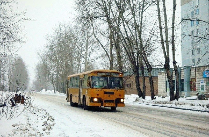 автобус 3.jpg